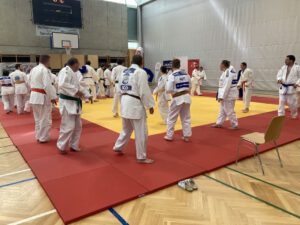 Judo_ID-Feldkirchen_6